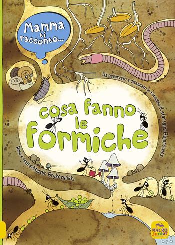 Mamma ti racconto... cosa fanno le formiche. Ediz. a colori - Marcin Brykczynski, Katarzyna Bajerowicz - Libro Macro Junior 2021 | libraccio.click
