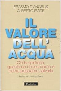 Il valore dell'acqua. Chi la gestisce, quanta ne consumiamo e come possiamo salvarla - Erasmo D'Angelis, Alberto Irace - Libro Dalai Editore 2011, I saggi | libraccio.click