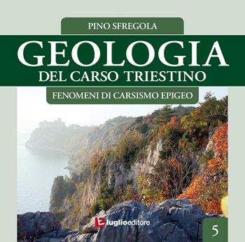 Geologia del Carso triestino. Vol. 5: Fenomeni di carsismo epigeo. - Pino Sfregola - Libro Luglio (Trieste) 2016 | libraccio.click