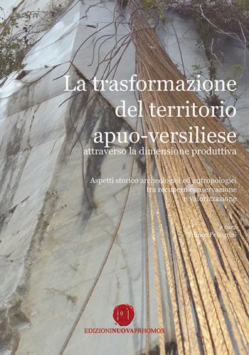 La trasformazione del territorio apuo-versiliese attraverso la dimensione produttiva. Aspetti storico archeologici ed antropologici tra recupero conservazione e valorizzazione  - Libro Nuova Prhomos 2020 | libraccio.click