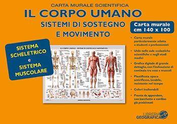 Corpo umano. Sistema scheletrico e muscolare. Carta murale scientifica. Ediz. a colori  - Libro Libreria Geografica 2019, Carte murali | libraccio.click