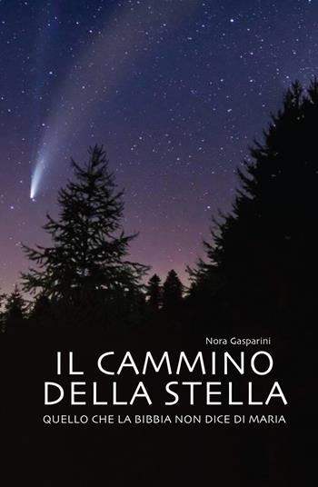 Il cammino della stella. Quello che la Bibbia non dice di Maria - Nora Gasparini - Libro Nuova Editrice Berti 2024, Narrativa | libraccio.click