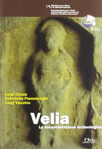 Velia. La documentazione archeologica - Luigi Cicala, C. Antonella Fiammenghi, Luigi Vecchio - Libro Naus 2005, Guide del parco archeologico di Velia | libraccio.click