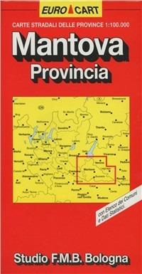 Mantova 1:100.000  - Libro Studio FMB Bologna 1993, Euro Cart | libraccio.click