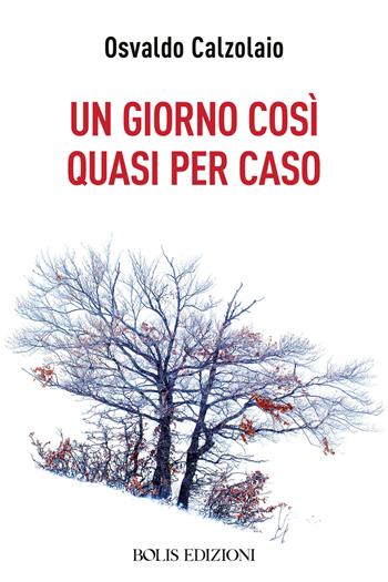 Un giorno così quasi per caso - Osvaldo Calzolaio - Libro Bolis 2024 | libraccio.click