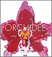 Orchidee. Ediz. illustrata