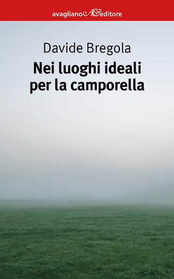 Nei luoghi ideali per la camporella - Davide Bregola - Libro Avagliano 2022, I corimbi | libraccio.click