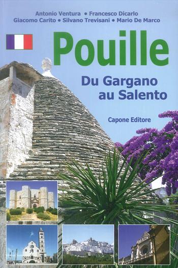 Puglia. Dal Gargano al Salento. Ediz. francese - Mario De Marco, Silvano Trevisani, Giacomo Carito - Libro Capone Editore 2019 | libraccio.click