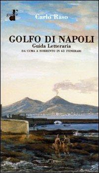 Il golfo di Napoli. Guida letteraria. Da Cuma a Sorrento - Carlo Raso - Libro Di Mauro Franco 2007 | libraccio.click