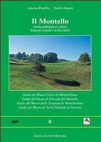 Il Montello. Storia, ambiente e civiltà. Itinerari a piedi e in bicicletta. Le grotte del Montello. Guida dei musei - Antonio Paolillo, Danilo Zanetti - Libro Danilo Zanetti Editore 2004, Millepiedi | libraccio.click