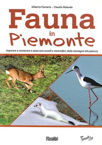 Fauna In Piemonte. Imparare a conoscere e osservare uccelli e mammiferi, dalla montagna alla pianura - Gilberto Forneris, Claudio Rolando - Libro Susalibri 2013, Piemonte live | libraccio.click
