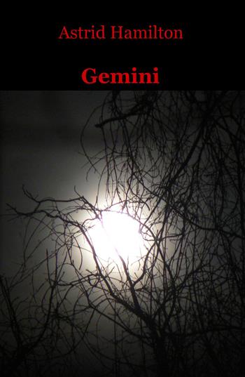 Gemini - Astrid Hamilton - Libro ilmiolibro self publishing 2015, La community di ilmiolibro.it | libraccio.click