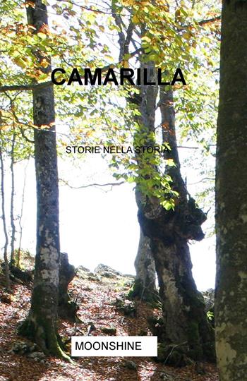 Camarilla. Storie nella storia - Raffaella Esposito - Libro ilmiolibro self publishing 2017, La community di ilmiolibro.it | libraccio.click