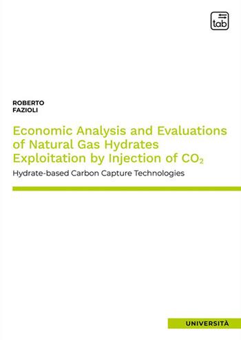 Economic analysis and evaluations of natural gas hydrates exploitation by injection of CO2. Hydrate–based carbon capture technologies - Roberto Fazioli - Libro tab edizioni 2024 | libraccio.click