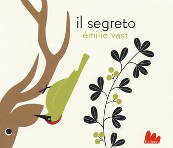 Il segreto. Ediz. illustrata - Émilie Vast - Libro Gallucci 2020, Gallerìa | libraccio.click