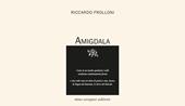 Amigdala
