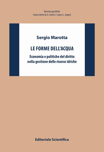 Le forme dell'acqua. Economia e politiche del diritto nella gestione delle risorse idriche - Sergio Marotta - Libro Editoriale Scientifica 2019, Ricerche giuridiche. Nuovissima serie | libraccio.click