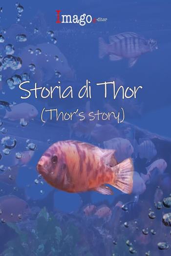 Storia di Thor-Thor's story. Ediz. bilingue - Annastella Gambini, Piera Braga, Sabrina Croci - Libro Imago Editor 2023 | libraccio.click