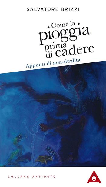 Come la pioggia prima di cadere. Appunti di non-dualità - Salvatore Brizzi - Libro Antipodi Edizioni 2016 | libraccio.click