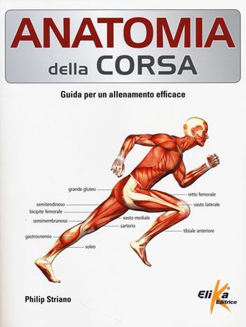 Anatomia della corsa. Guida per un alenamento efficace - Philip Striano - Libro Elika 2014, Anatomia | libraccio.click