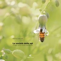 La società delle api. Immagini di un mondo staordinario. Ediz. italiana e inglese - Marina Gallandra - Libro Eidon Edizioni 2012, Daphne | libraccio.click