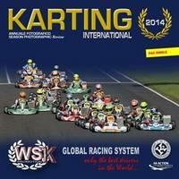 Karting internazionale 2014. I campionati WSK, CUC-FIA e Formula 4 Italia. Ediz. italiana e inglese - Fernando Morandi - Libro Roberto Vallardi 2015 | libraccio.click