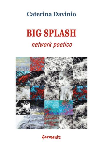 Big spalsh network poetico. Ediz. italiana e inglese - Caterina Davinio - Libro Fermenti 2015, Nuovi Fermenti. Poesia | libraccio.click