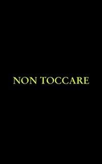 Non toccare - Henry Sprouse - Libro Meligrana Giuseppe Editore 2011, Narrativa inclusa | libraccio.click