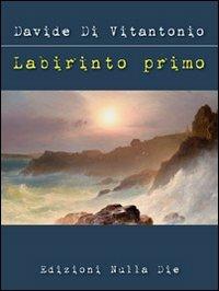 Labirinto primo - Davide Di Vitantonio - Libro Nulla Die 2012, Ventitrenta. Poesia | libraccio.click