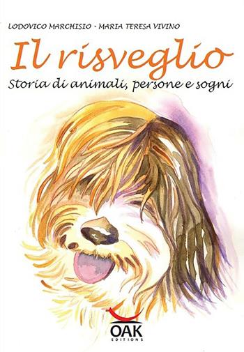 Il risveglio. Storia di animali, persone e sogni. Ediz. illustrata - Lodovico Marchisio, Maria Teresa Vivino - Libro OAK Edizioni 2012, Narrativa per ragazzi | libraccio.click