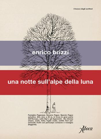 Una notte sull'alpe della luna - Enrico Brizzi - Libro Aboca Edizioni 2019 | libraccio.click