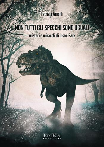 Non tutti gli specchi sono uguali. Misteri e miracoli di Inson Park - Patrizia Amalfi - Libro Epika 2017 | libraccio.click