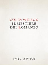 Il mestiere del romanzo
