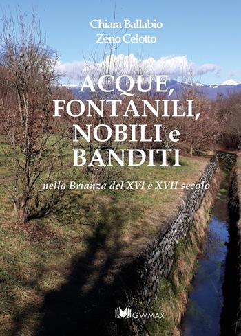 Acque, fontanili, nobili e banditi nella Brianza del XVI e XVII secolo - Chiara Ballabio, Zeno Celotto - Libro GWMAX 2021 | libraccio.click