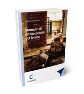Manuale di diritto penale del lavoro