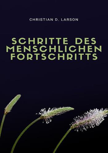 Schritte des menschlichen fortschritts - Christian D. Larson - Libro StreetLib 2022 | libraccio.click