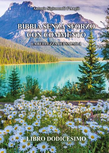 Bibbia senza sforzo con commento. La bellezza dei salmi. Vol. 1 - Antonio Sigismondi D'Angiò - Libro Youcanprint 2025 | libraccio.click
