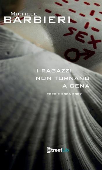 I ragazzi non tornano a cena - Michele Barbieri - Libro StreetLib 2024 | libraccio.click