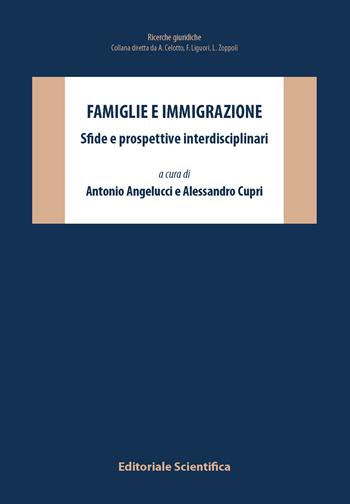 Famiglie e immigrazione. Sfide e prospettive interdisciplinari  - Libro Editoriale Scientifica 2025, Ricerche giuridiche. Nuovissima serie | libraccio.click