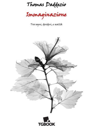 Immaginazione. Tra sogni, desideri e realtà - Thomas Daddezio - Libro Tg Book 2025 | libraccio.click