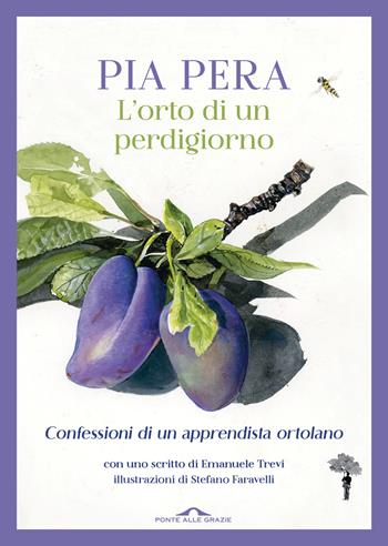 L'orto di un perdigiorno. Confessioni di un apprendista ortolano - Pia Pera - Libro Ponte alle Grazie 2026, Fuori collana | libraccio.click
