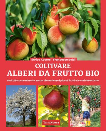 Coltivare alberi da frutto bio. Dall'albicocca alla vite, senza dimenticare i piccoli frutti e le varietà antiche - Enrico Accorsi, Francesco Beldì - Libro Terra Nuova Edizioni 2025, Coltivare secondo natura | libraccio.click