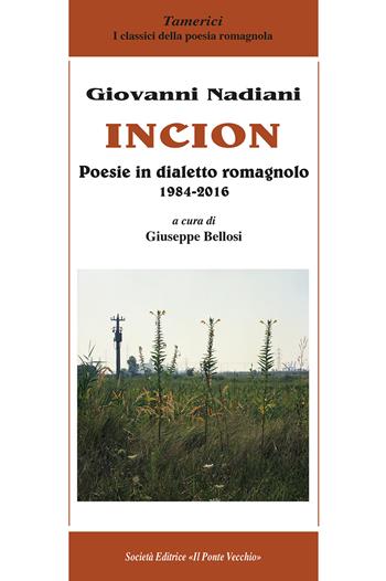 Incion. Poesie in dialetto romagnolo 1984-2016 - Giovanni Nadiani - Libro Il Ponte Vecchio 2023 | libraccio.click