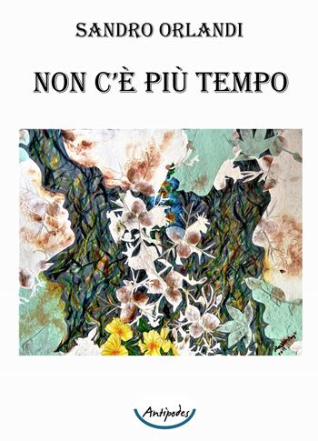 Non c'è più tempo - Sandro Orlandi - Libro Antipodes 2022 | libraccio.click