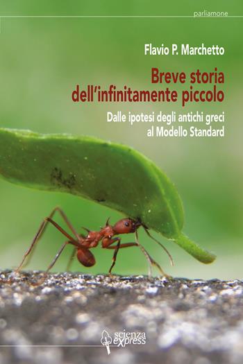 Breve storia dell'infinitamente piccolo. Vol. 1: Dalle ipotesi degli antichi greci al modello standard - Flavio P. Marchetto - Libro Scienza Express 2022, Parliamone | libraccio.click