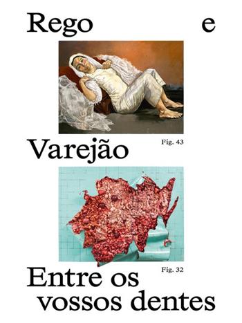 Paula Rego e Adriana Varejão. Entre os vossos dentes - Elena Crippa, Helena de Freitas, Raphael Fonseca - Libro Lenz Press 2025 | libraccio.click